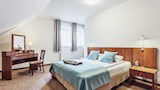 Comfort Double Room, 1 Double Bed