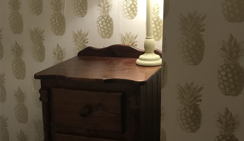Family Room (The Pineapple Room)