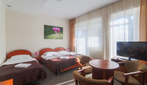Standard Quadruple Room