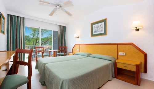 Single Room (1+0)