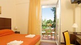 Basic Double or Twin Room