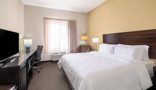 Standard Room, 1 King Bed, Accessible (Communications, Mobil, Roll-In Shower)