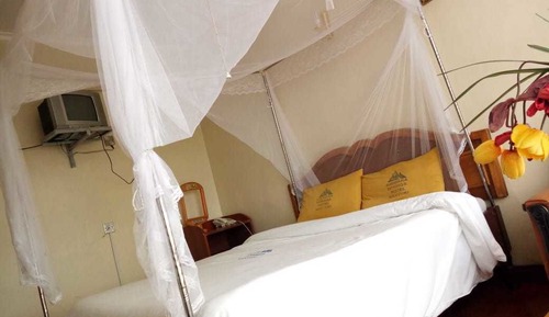 Standard Single Room, 1 Twin Bed, Non Smoking