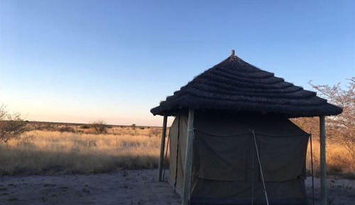 Economy Tent