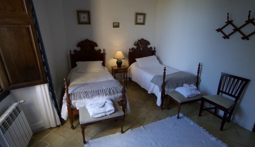 Basic Double Room