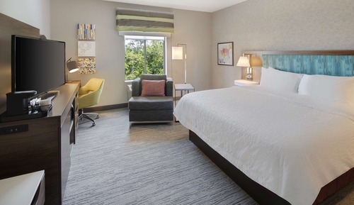 Room, 1 King Bed, Microwave