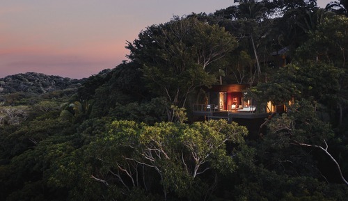 Tree House