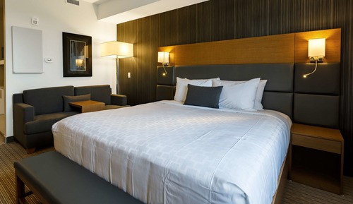 Standard Room, 1 King Bed, Non Smoking, Kitchenette (non-Pet friendly)