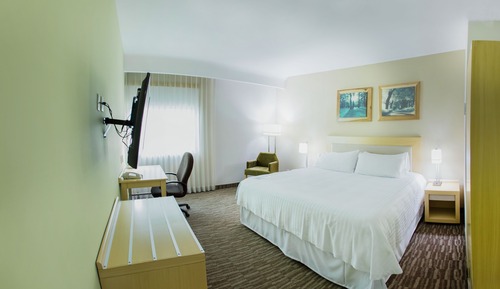 Standard Room, 1 King Bed, Smoking