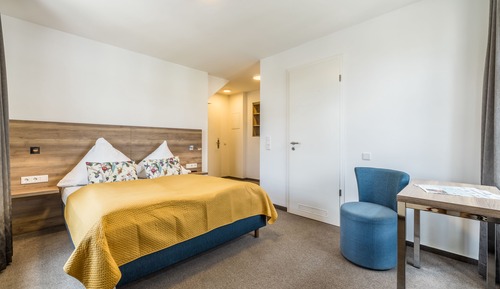 Superior Double or Twin Room