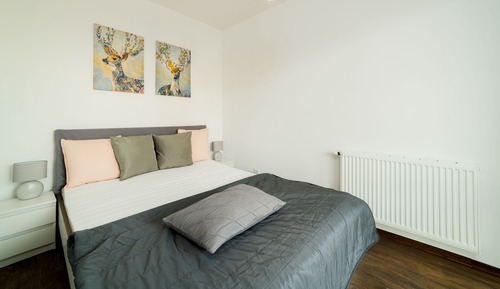 Apartment (75)