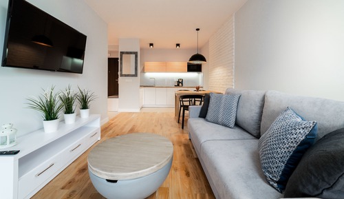 Apartment (22)