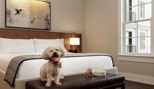Room, 1 King Bed, Accessible (Roll-In Shower)