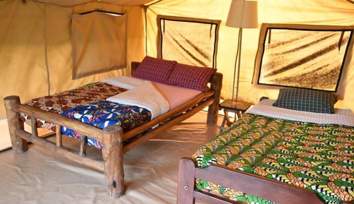 Basic Tent, Non Smoking (Safari)