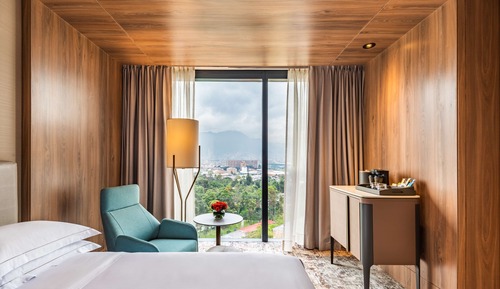 Room, 1 King Bed, Accessible (Roll-In Shower, Mobility & Hearing)