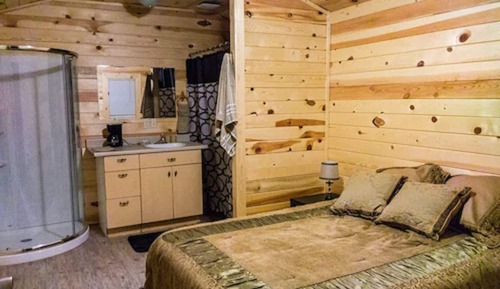 Comfort Cabin, 1 Queen Bed