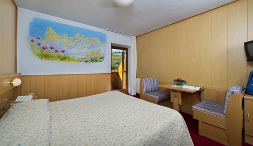 Standard Double or Twin Room, 1 Queen Bed