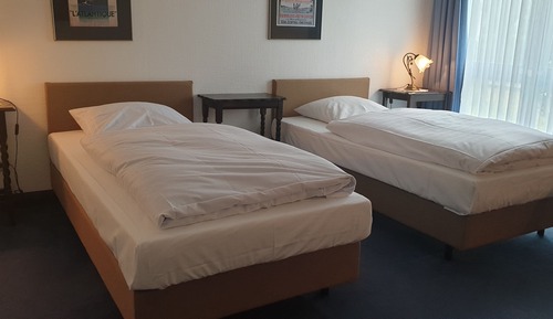 Basic Twin Room