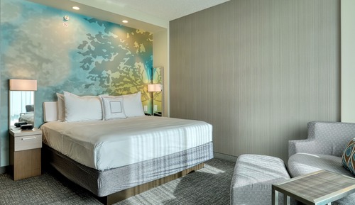 Room, 1 King Bed with Sofa bed (Hearing Accessible)