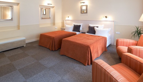 Superior Double or Twin Room