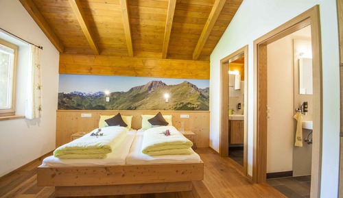 Standard Apartment, 2 Bedrooms, Kitchenette, Mountain View (Schwalbennest)