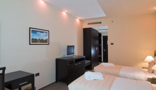 Standard double/twin mountain side room
