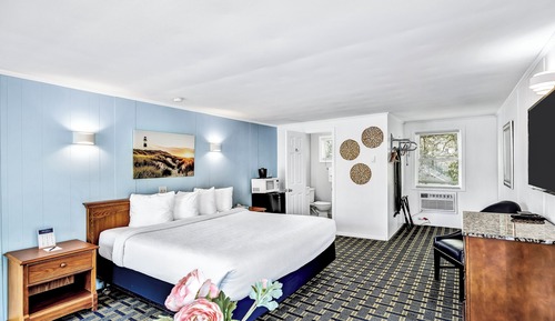 Standard Single Room, 1 King Bed