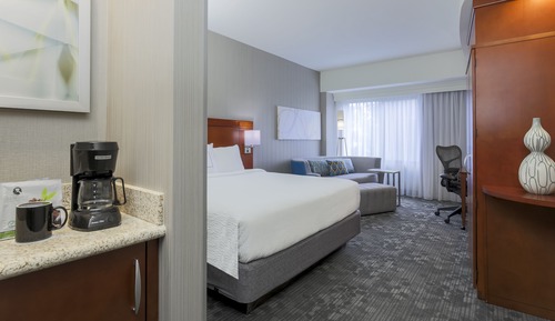 Room, 1 King Bed with Sofa bed (Mobility Accessible, Roll-in Shower)
