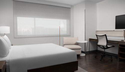 Studio, 1 King Bed with Sofa bed