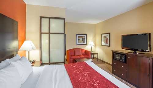 Standard Suite, 1 King Bed with Sofa bed, Non Smoking