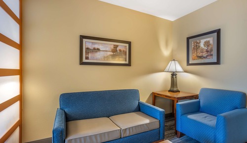 Suite, 1 King Bed with Sofa bed, Non Smoking, Refrigerator & Microwave (with Sofabed)