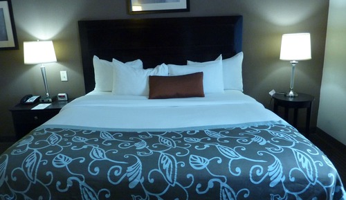 Deluxe Studio Suite, 1 King Bed with Sofa bed, Non Smoking