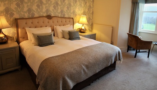 Premium Double Room, 1 King Bed, Mountain View