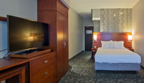 Room, 1 King Bed with Sofa bed, Non Smoking (Mobility/Hearing Access, Roll-In Shwr)