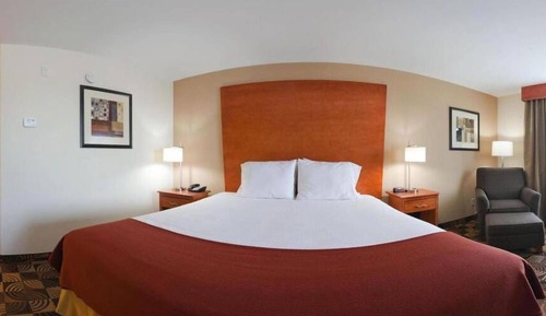 Suite, 1 King Bed