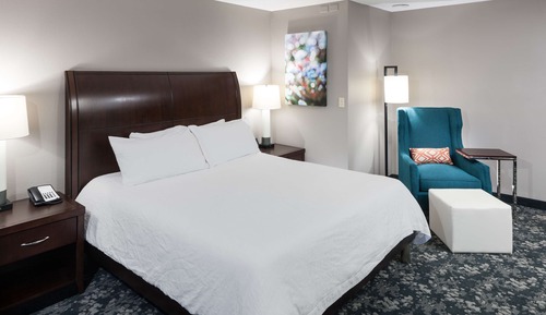 Room, 1 King Bed with Sofa bed