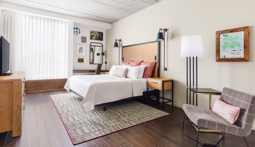 Standard Room, 1 King Bed, Mobility Accessible (Roll-In Shower)
