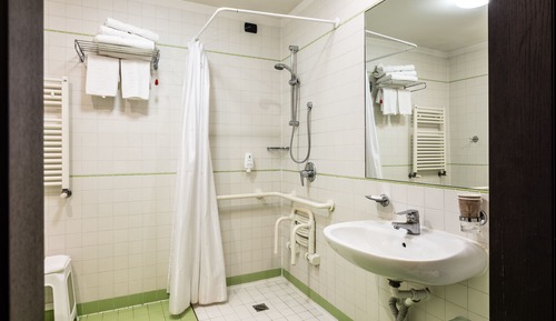 Economy Double or Twin Room (Main or Annex Building)