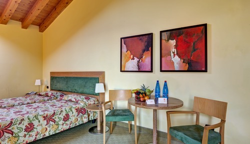 Superior Double or Twin Room, Annex Building