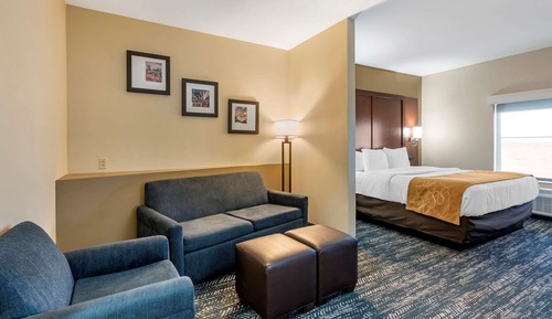 Suite, 1 King Bed with Sofa bed, Accessible, Non Smoking
