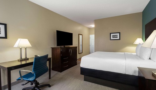 Room, 1 King Bed, Non Smoking