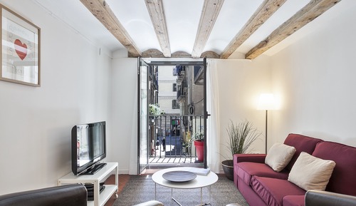 Large 1 Bedroom Apartment