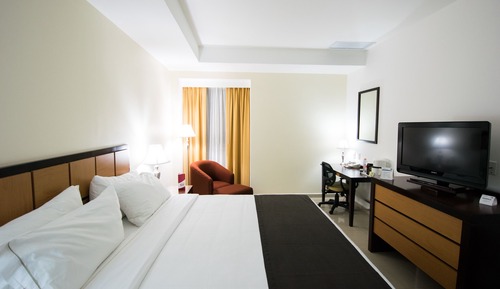 Standard Room, 1 King Bed, Accessible Bathtub