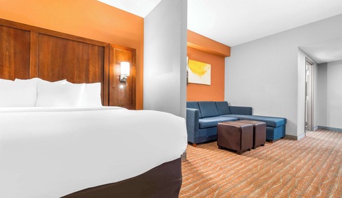 Suite, 1 King Bed with Sofa bed, Non Smoking