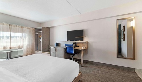 Standard Room, 1 King Bed, Accessible, Non Smoking