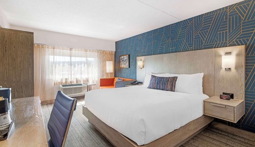 Standard Room, 1 King Bed, Non Smoking, Refrigerator (with Sofabed)