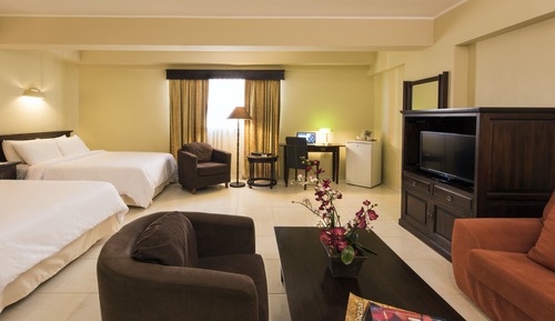 Superior Room, 1 Bedroom, Refrigerator