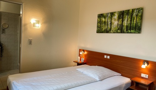 Comfort Single Room