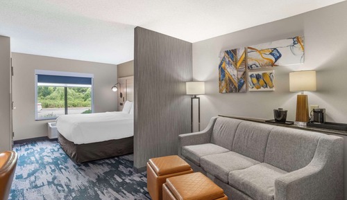 Suite, 1 King Bed with Sofa bed, Non Smoking (Pet Friendly)