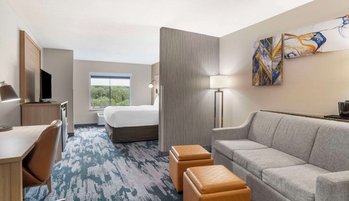 Suite, 1 King Bed with Sofa bed, Accessible, Non Smoking